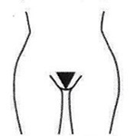 Wax-Treatments---High-Bikini---Californian